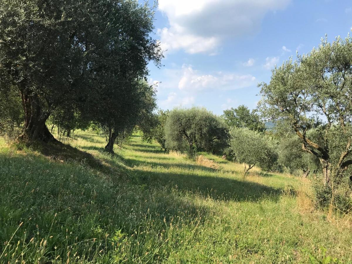 Casa Vacanze Agli Ulivi Baone Bagian luar foto