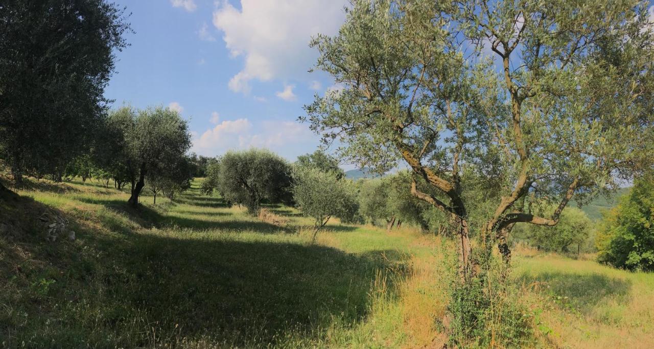 Casa Vacanze Agli Ulivi Baone Bagian luar foto