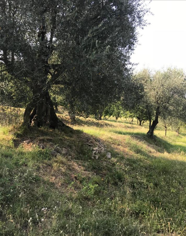 Casa Vacanze Agli Ulivi Baone Bagian luar foto